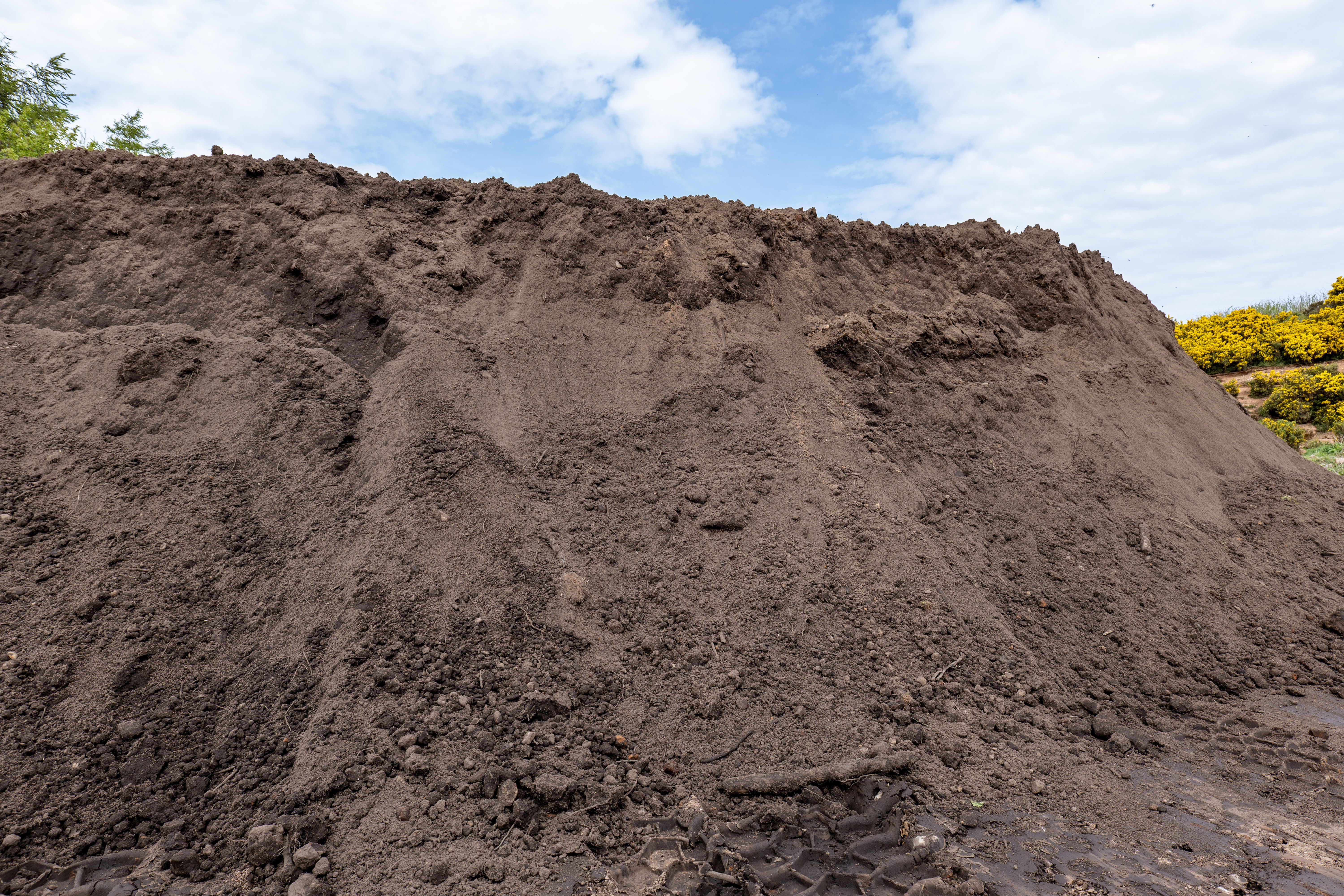 rootzone